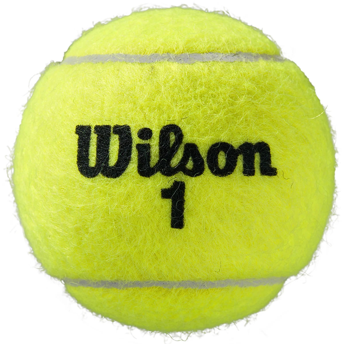 Tube van 3 Wilson Roland Garros All Court Ballen