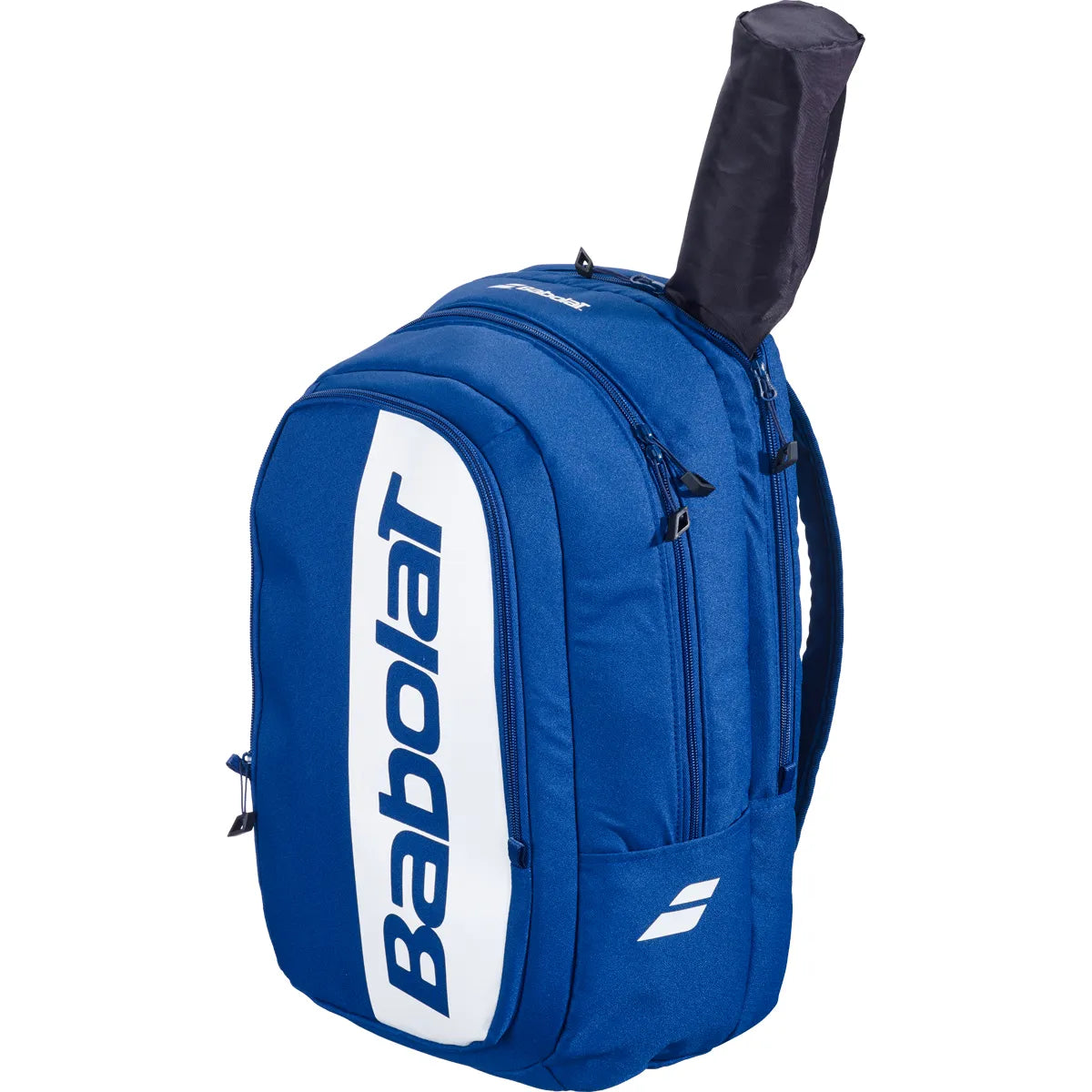 Rugzak Babolat Court Hero