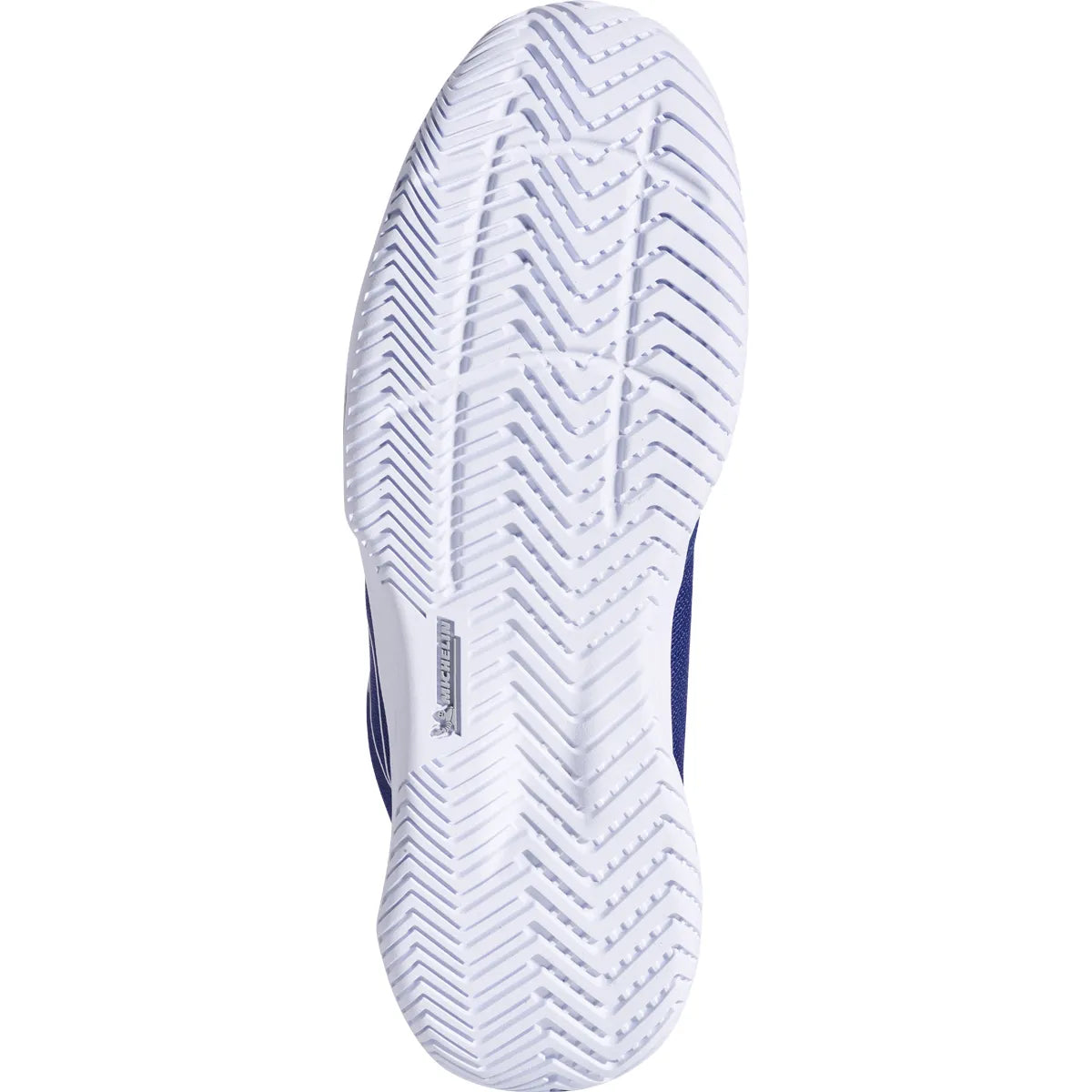 Babolat Sfx Evo Schoenen Alle Ondergronden