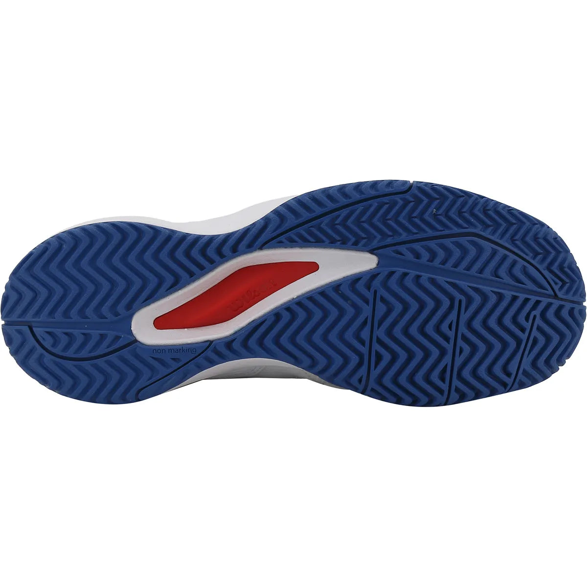 Wilson Junior Rush Pro Ace Schoenen alle ondergronden