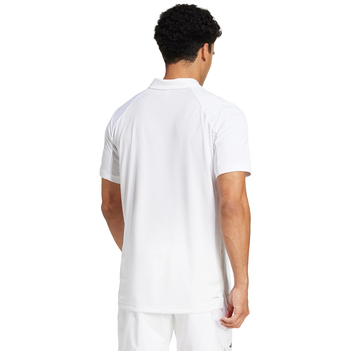 adidas Club Logo Polo