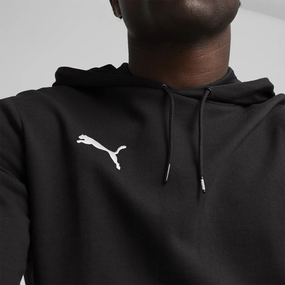 Puma Casual Team Goal A Hoody