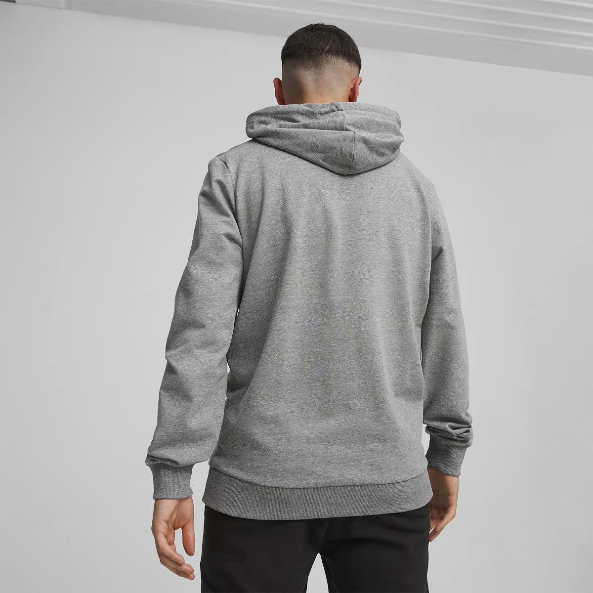 Puma Casual Team Goal A Hoody