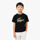 Lacoste Junior Croco T-Shirt