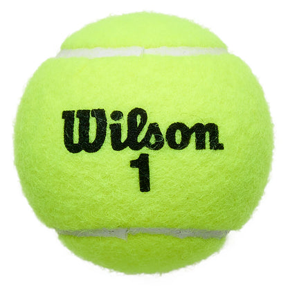 Tube van 4 Wilson Championship ballen