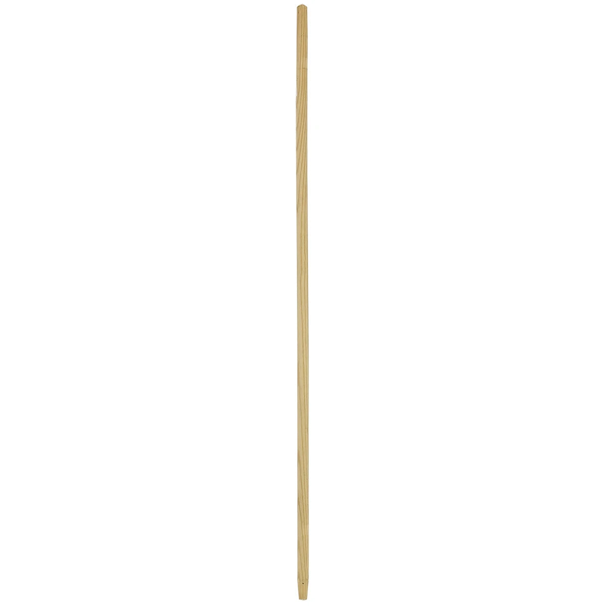 Manche pour Racleur 66 Cm